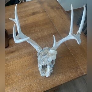 Decorative Antler Skull with Gem Accents